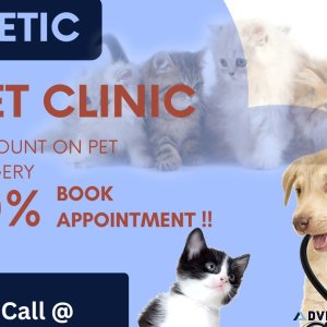 Is your pet in need of expert surgical care Look no further