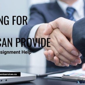 Looking for Someone who can Provide Business Assignment Help
