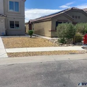 Weed Control and Tree Trimmings