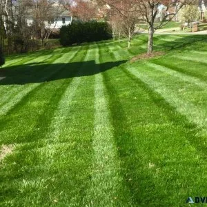 Lawn Care