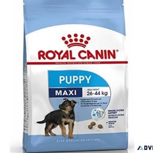 Royal Canin Puppy Food at Best Price Online - Pawrulz