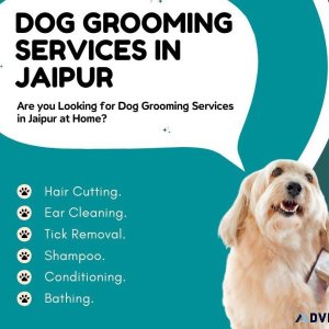 Dog Grooming Services in Jaipur