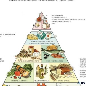 Reverse Type 2 Diabetes In 3-Simple-Steps