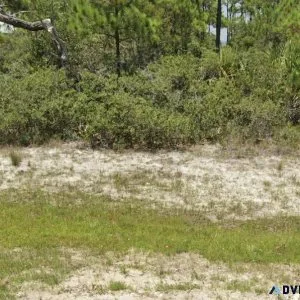 1.27 Vacant Land