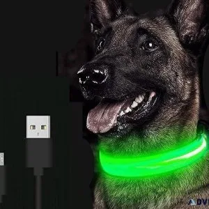 Adjustable LED Glowing Pet Collar