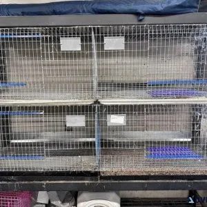 Rabbit Cage 4 Unit (24x36)