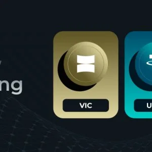 Vic/usdt trading on wazirx