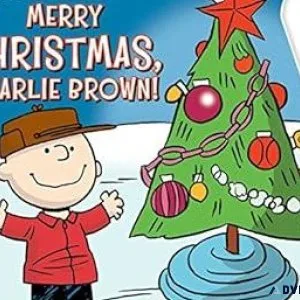 gift ideas for all