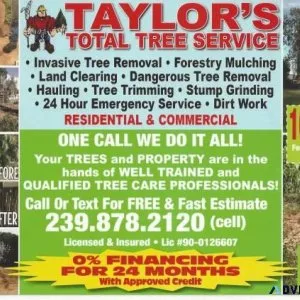 HURRICANE TRIM TREE REMOVAL GRAPPLE LOADS DUMPSTER SERVICE