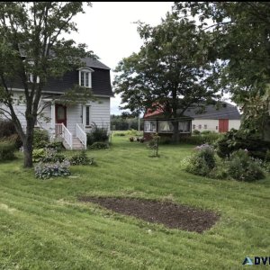 Farm for sale in L&eacutevis (land)