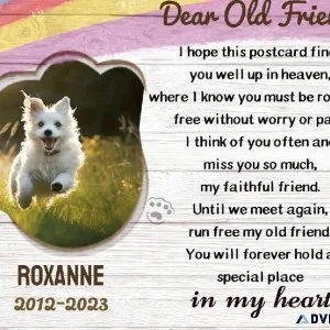 dog loss&nbspgifts