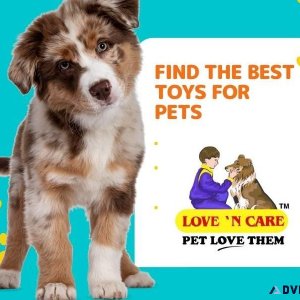 Find the Best Toys for Pets Call 91 9810110201 Now