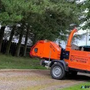Expert Tree Planting Services at SG Tree Services