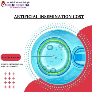 Artificial insemination process