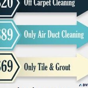 Spring TX Carpet Cleaning