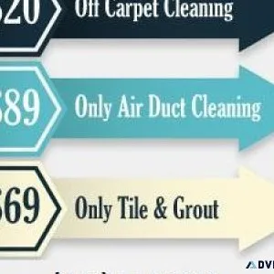 Spring TX Carpet Cleaning
