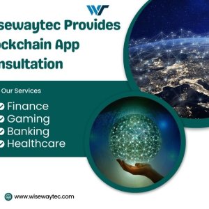 Wisewaytec provides blockchain app consultation