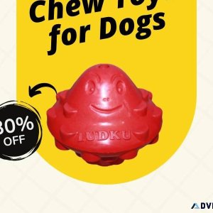 Top-Quality Chew Toys for Dogs - Call 91 9810110201