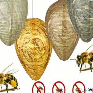 Wasp Trap