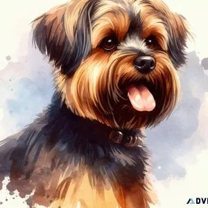 Dog Grooming Plano Texas