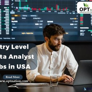 Entry Level Data Analyst Jobs in USA