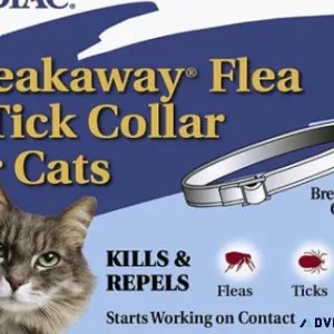 Pet Supplies and Accessories
