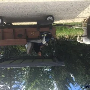 Pony Wagon for sale