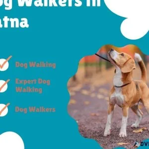 Affordable Dog Walkers Patna