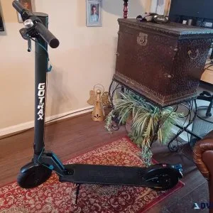 Adult Electric Scooter
