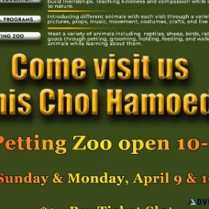 Petting Zoo Therapeutic and Educational programs
