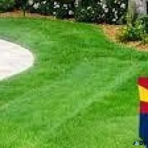 Discover the Best Sergios Lawn Services for Lawn Maintenance