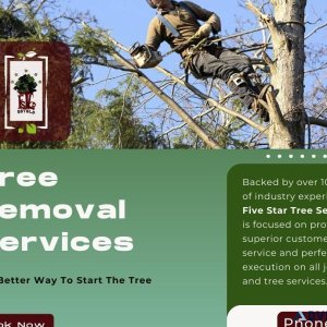 Tree Removal Services in Toronto