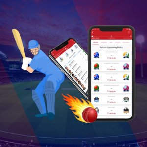 Fantasy cricket app development company
