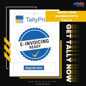 Tally software sales and service