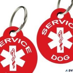 Premium engraved service dog tags