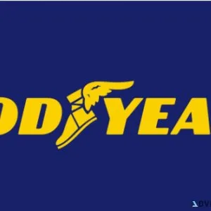 Entry-Level Automotive Technician