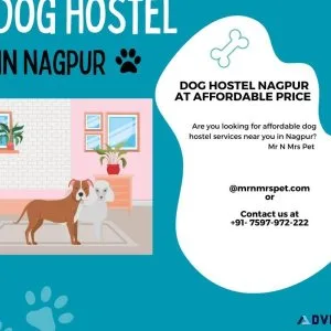Dog Hostel Nagpur At Affordable Price
