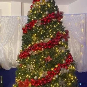 xmas trees