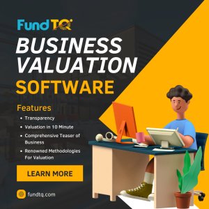 Business valuation software