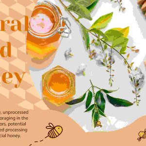 Natural wild honey