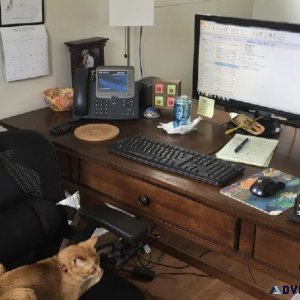 Work from home as clerical worker