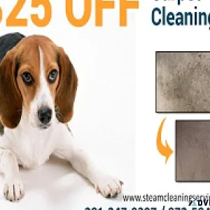 Steam Cleaning Service