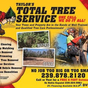 HURRICANE TRIM TREE REMOVAL GRAPPLE LOADS DUMPSTER SERVICE