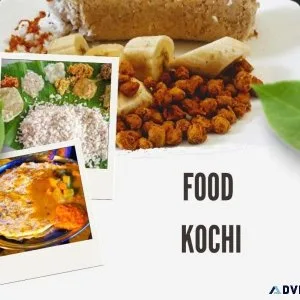 Kochi s food bloggers and influencers