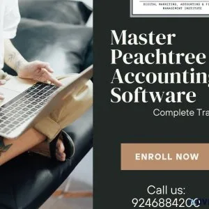 SAGE 50 (Peachtree Complete Accounting) training