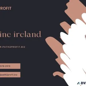 Work from home Path 2 profit