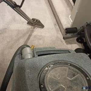 Carpet  Rug and Mattress Steam Cleaning