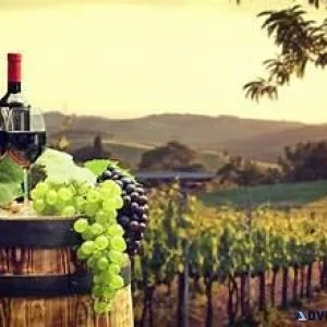 Would you like to make money sharing Fine Wines
