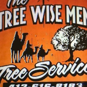Tree service in Elizabeth PA