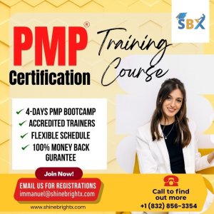 Become a pmp pro: master the exam with this ultimate course